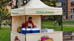 Kiosco-Plegable-CarpasFM-1